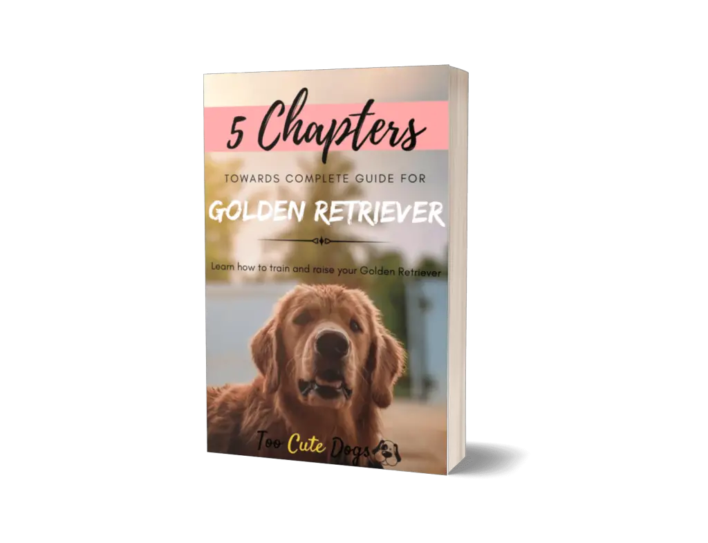 5 Chapter Guide For Golden Retriever
