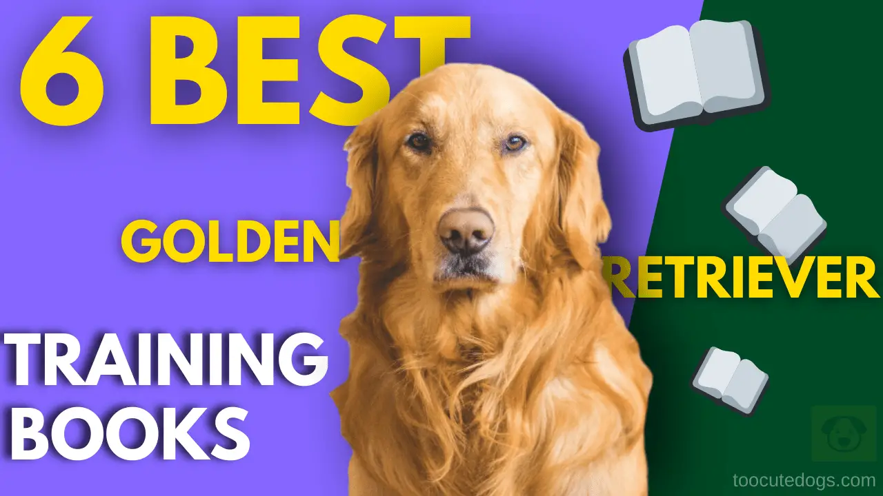 best golden retriever training books