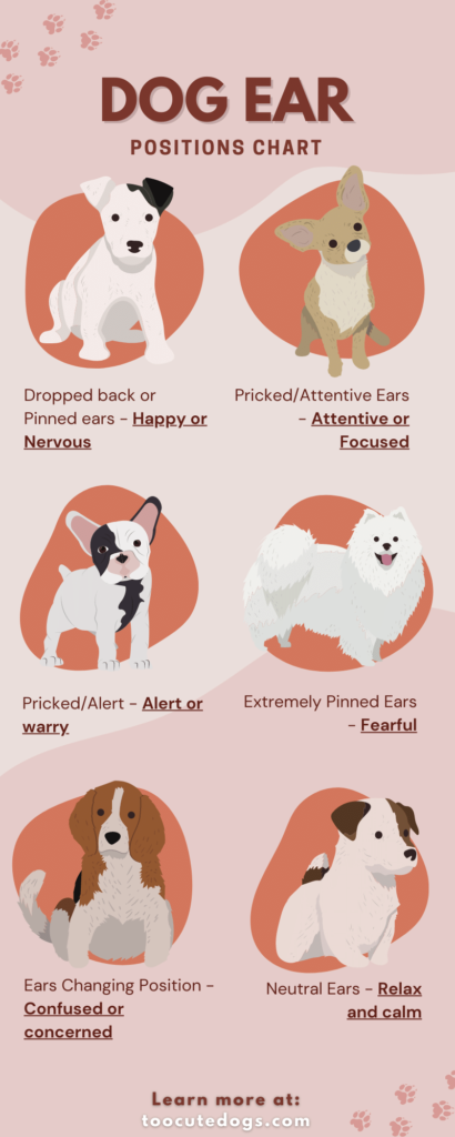 Dog Ear Positions Chart