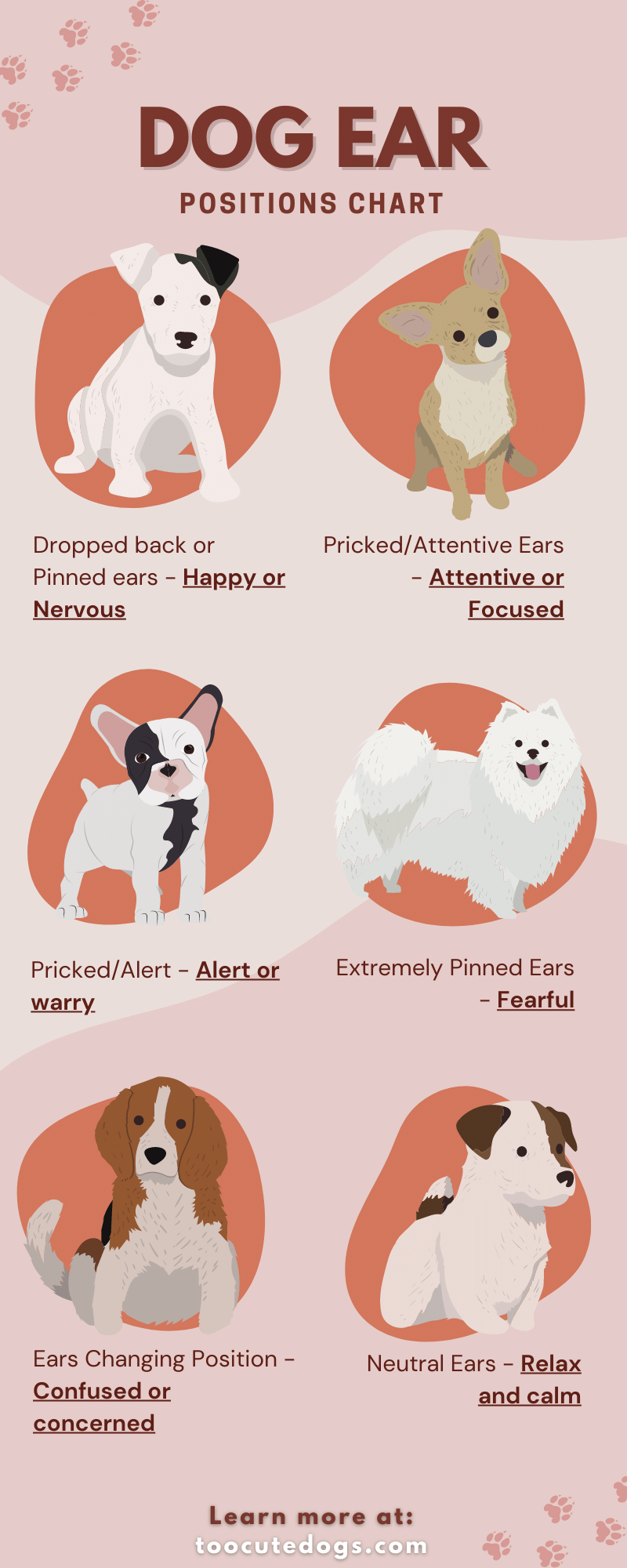 How Dogs Communicate With Their Ears? (With Chart)